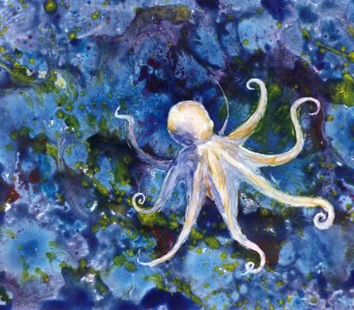 Octopus-Garden.jpg