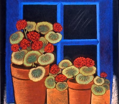 Geraniums - Pastel Geraniums - Pastel