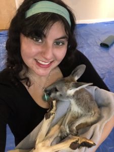 morgan pilz holding baby kangaroo