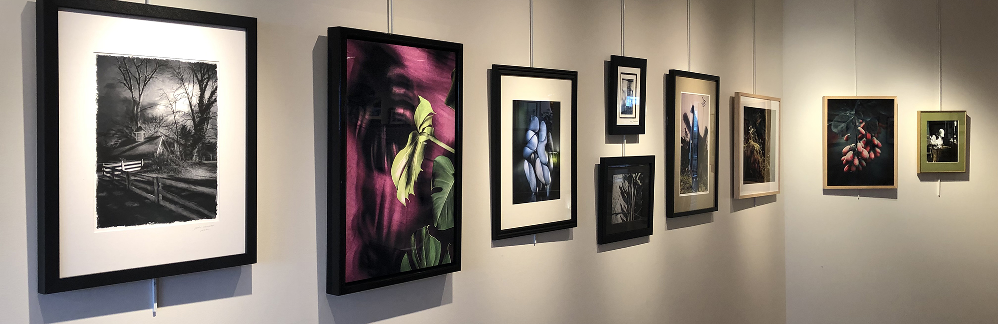 Featured in the Sisson Galleria / "Shadows", Photography Juried Show