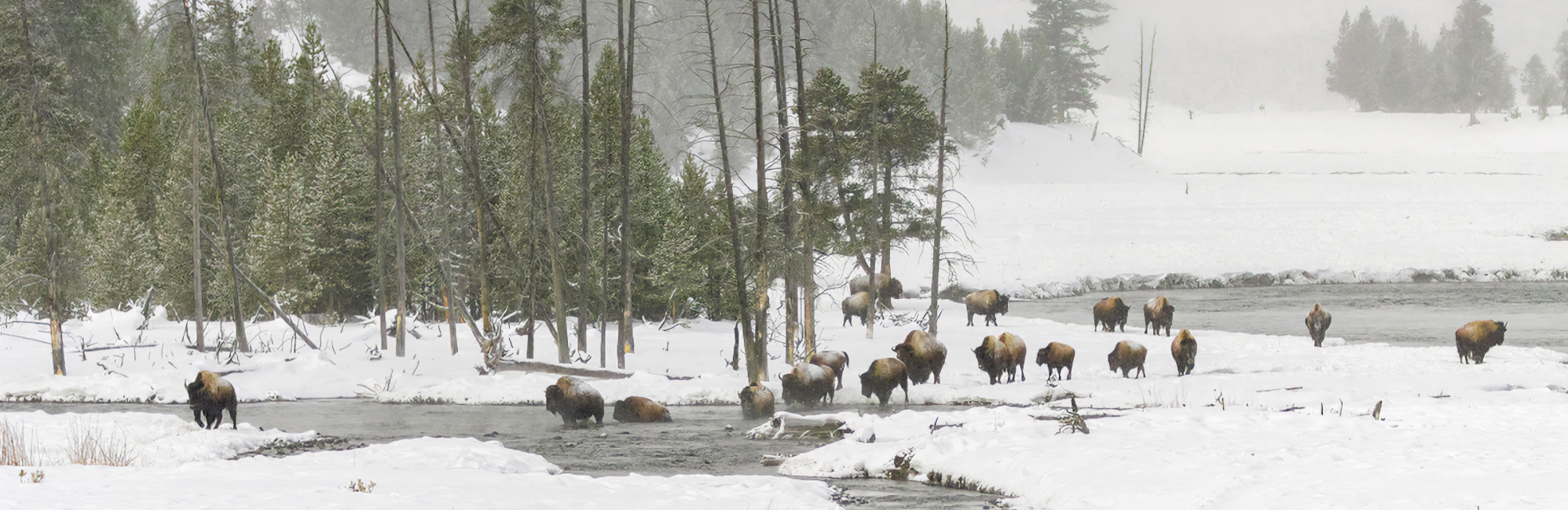 Featured in Studio E / "Six Views of Yellowstone" photography series