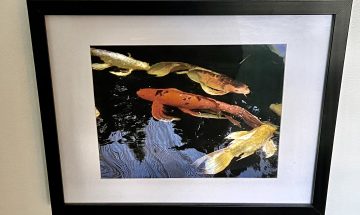 18 Web Golden Fish , Photography, $125, Barry Matus