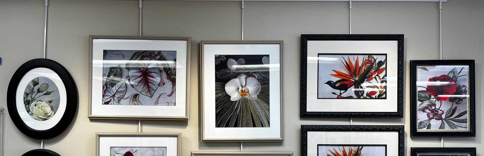 Featured in the Spotlight Gallery / "The Flower Show", Elaine Bean