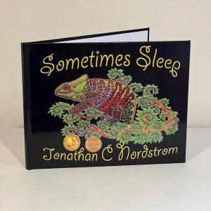 11) Sometimes Sleep By Local Author And Illustrator Jon Nordstrom Sq