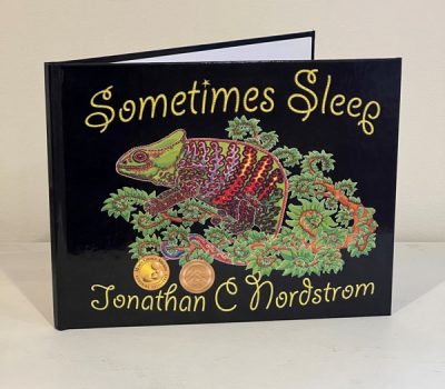 11) Sometimes Sleep By Local Author And Illustrator Jon Nordstrom Sq