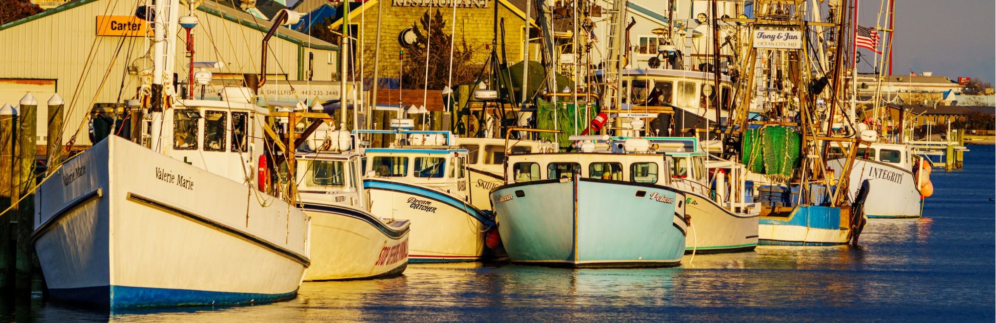 Featured Off-Site at the Princess Royale/ Jim Halvorsen