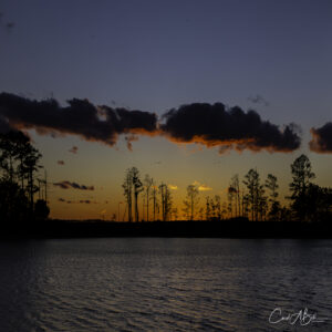 Marshland-at-Sunset.-Photograph-scaled.jpg