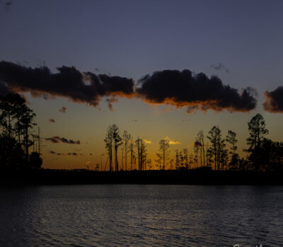 Marshland At Sunset, Photograph