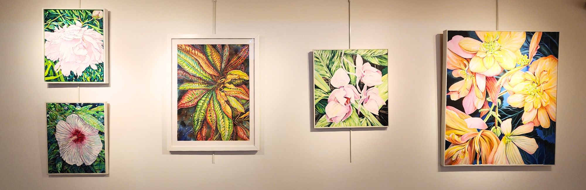 Featured in the Thaler Gallery / Jill Kohut