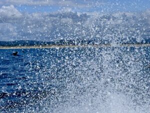 pacific-brant-blast-scaled.jpeg