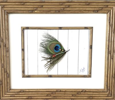 Frame 143 (peacock On The Wing)