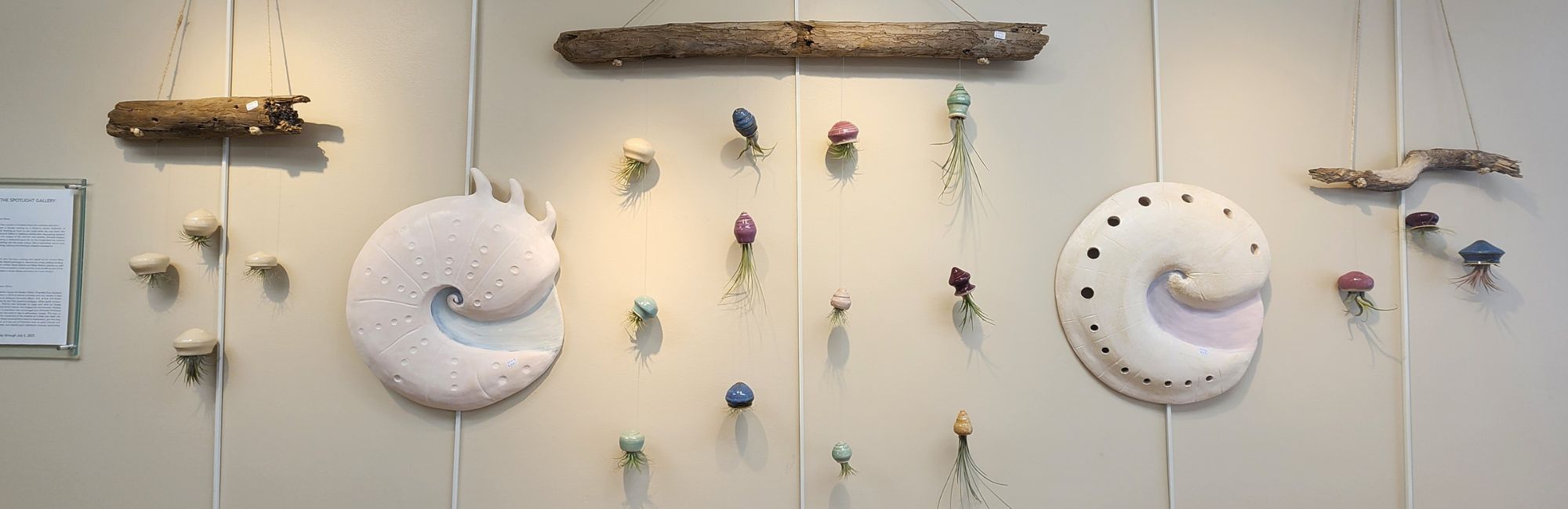 Featured in Spotlight Gallery / Imogene Halcott, Sarah Halcott, and Patricia Rose