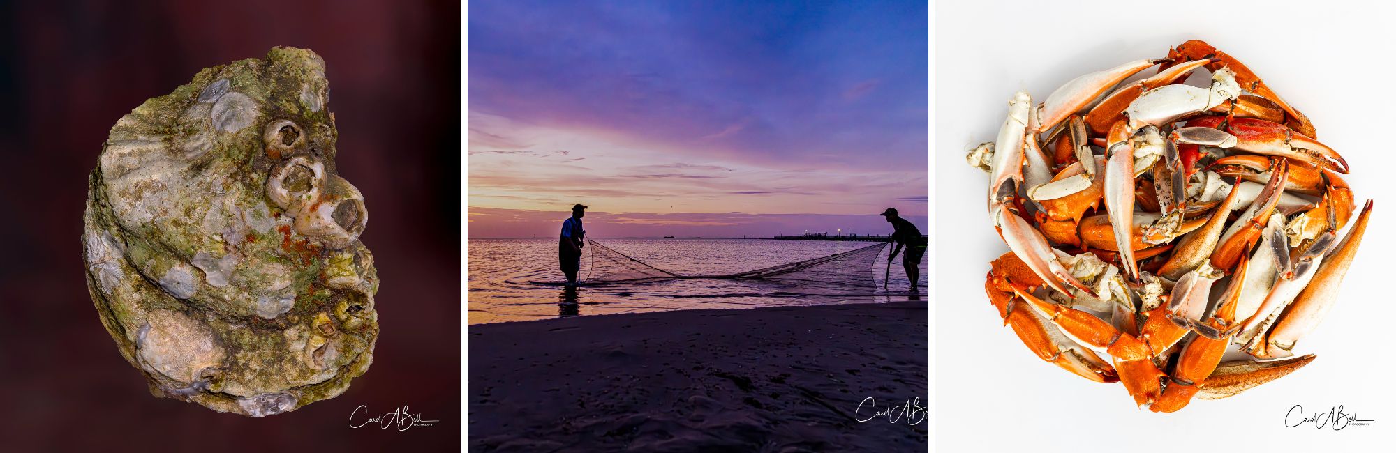 Featured Off-Site at the Princess Royale/ Carol Bell