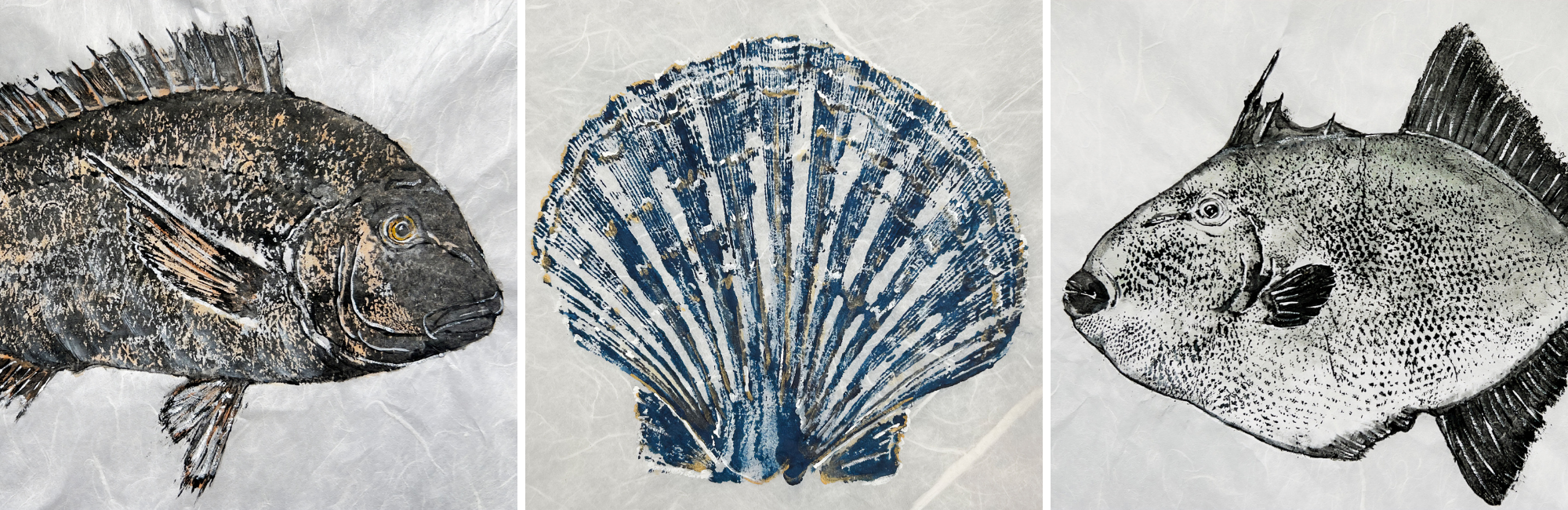 Featured in Spotlight Gallery / Robby Chin Eastern Shore Gyotaku LLC