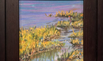Alrichards~marchgrass