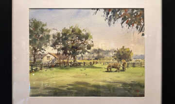 Vickyzhou~longhorns