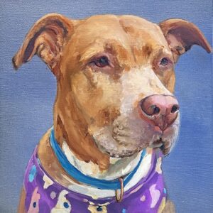 Bailey! Acrylicgallerywrapped Canvascommish