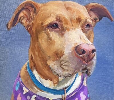 Bailey! Acrylicgallerywrapped Canvascommish Bailey! Acrylicgallerywrapped Canvascommish