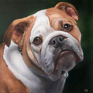 Bulldog Acrylic Gallery Wrapped Canvas