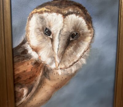 Img 6213 (2) (1) Img 6213 (2) (1)