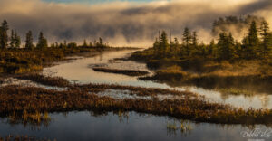 Morning Passage Debbie Blair