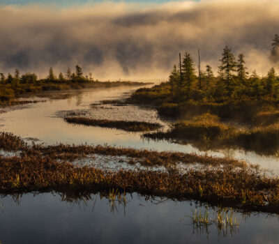 Morning Passage Debbie Blair