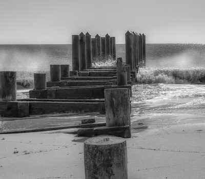 Against The Tide Roros