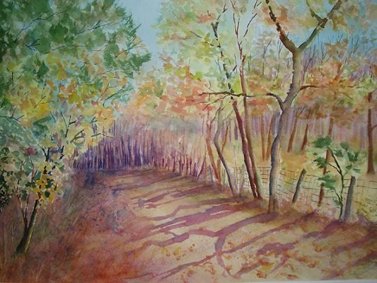 Beginners and Beyond Watercolor Class Beginners and Beyond Watercolor Class